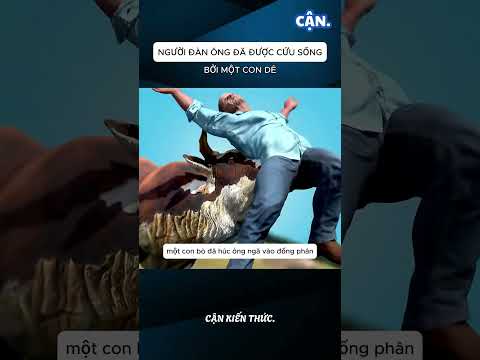 SỰ THẬT ĐÁNG SỢ ĐẰNG SAU CÁI CHẾT CỦA PHARAOH #xuhuong #shorts #viral #khampha #kienthuc #suthat