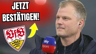 NEUER SPIELER AUF DEM FELD!!🚨🚨- Nachrichten vom VfB Stuttgart heute