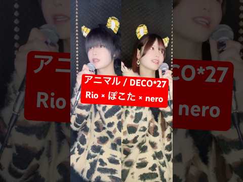 「アニマル / DECO*27」ジェンダーレスに歌ってみた【Rio×ぽこた×nero】 #shorts
