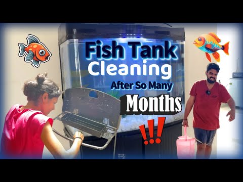 😈Fish Tank Cleaning...🐠 #anjuzlifestyle #funny #tamil