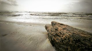 Shore lines