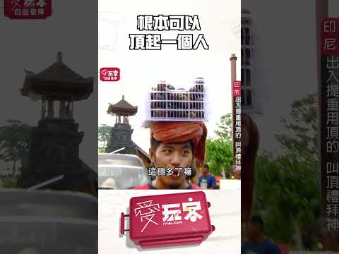 想像一下頭頂坐了一個人【週一愛玩客】#自由發揮 #shorts