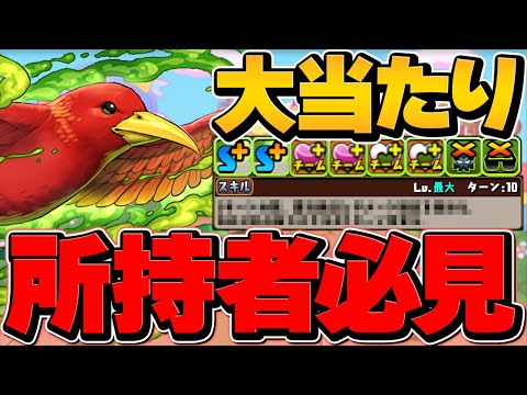 このキャラ引けた人、超ラッキー！MTGコラボの★5最強級サブ！？極楽鳥使ってみた！凶兆攻略【パズドラ】