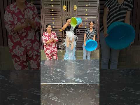 Left Or Right Rain-Proof Challenge, So Exciting, Who Survive? #familygames #familychallenge