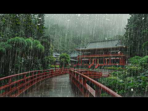 불면증을 개선시켜주는 최고의 빗소리. 깊은숲속 자연의 소리, 마음치유 백색소음 ASMR rain sounds