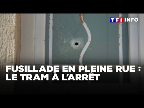 Fusillade en pleine rue à Avignon : le tram à l'arrêt｜TF1 INFO