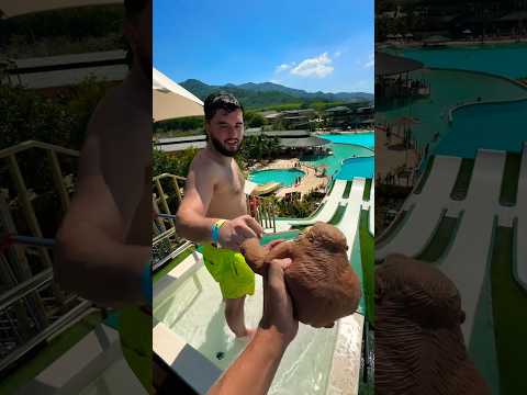 Squishy Monkey vs. Water Slide: The Ultimate Test!
