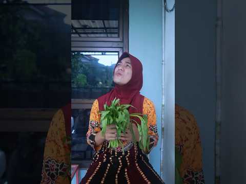 Bu ida bikin sate kangkung
