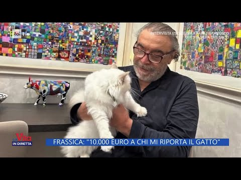 Nino Frassica: "10mila euro a chi mi riporta il gatto" - La Vita in diretta - 01/11/2023