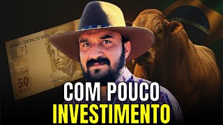 4 Formas de Ganhar Dinheiro na Pecuária - Començando do Zero