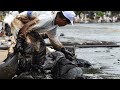 Urbanization and Environmental Impact