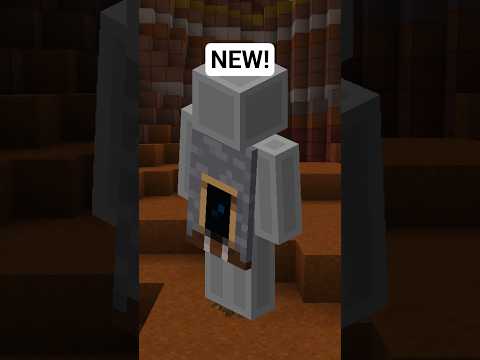 NEW Minecraft Cape... 🤫 #shorts