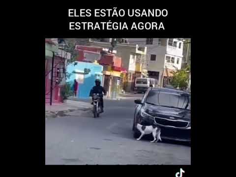 🤣😂🤣