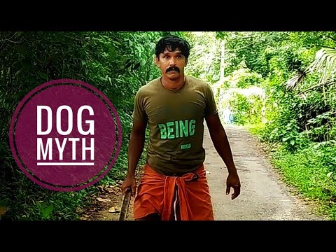 ശുനക പുരാണം  Dog myth