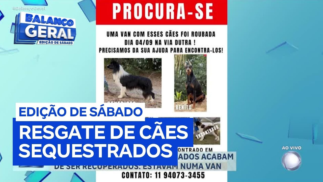 Quatro cães de raça são resgatados após sequestro de van polícia busca pelos outros