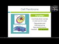 Exploring Cell Theory and Cell Types