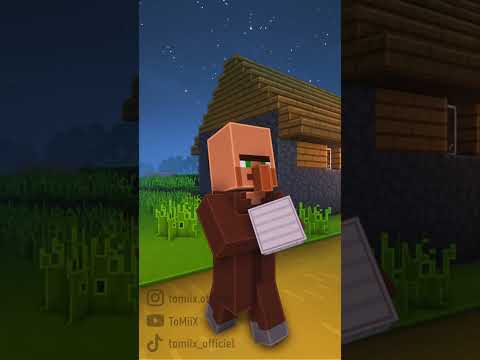 La vie des villageois sur Minecraft