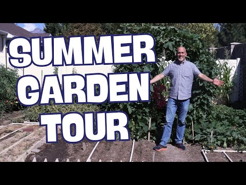 FULL Garden Tour!   🌱AUGUST 2024 🍅 Stoney Acres Gardening