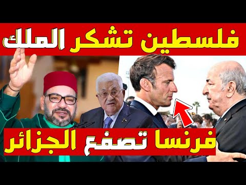 🔥فلسطين تشكر الملك محمد السادس...وفرنسا توجّه صفعة للجزائر بسبب الصحراء المغربية