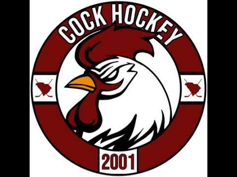 GAMECOCK HOCKEY vs. CLEMSON ICE HOCKEY - Palmetto Cup | Jan. 28, 2023