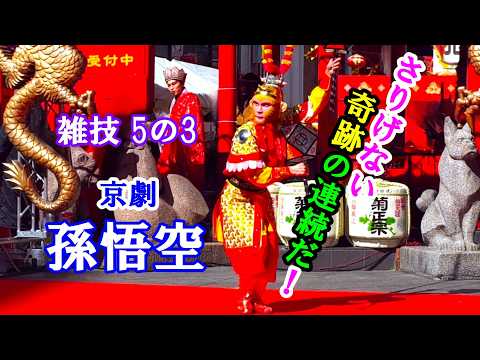 神戸春節祭 2026 元旦 雑技 5の3 奇跡の孫悟空技 【東京中国歌舞団】 兵庫県神戸市 南京町 2026年2月17日