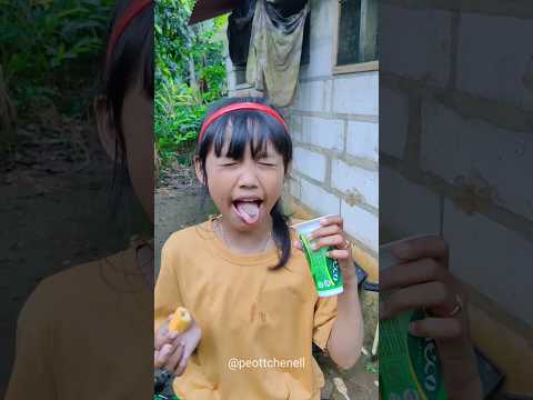 ALAT BUAT PENYARING TEH