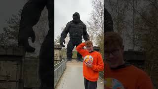 Hat dieser RIESEN AFFE sich BEWEGT? 😱 #jannikfreestyle