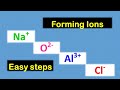 Ions and Their Properties