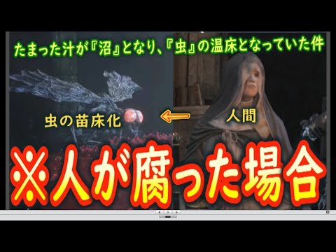 【ダークソウル考察】（※グロ注意）エスト瓶の正体は、『死』だった！！『深み』がなぜ生まれたかを解説します【エスト瓶、死の力説】