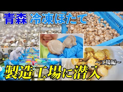 【青森】冷凍ほたて製造工場に潜入!〜後編(ほたて冷凍工場編)〜