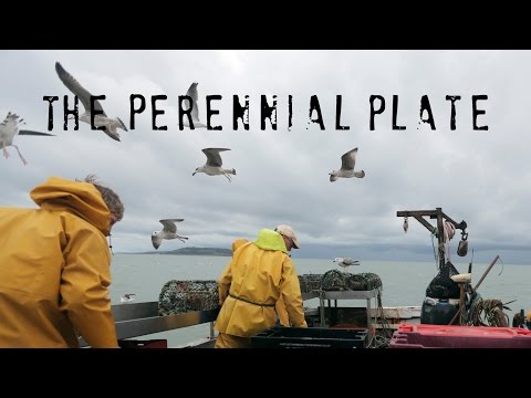 Howth | The Perennial Plate