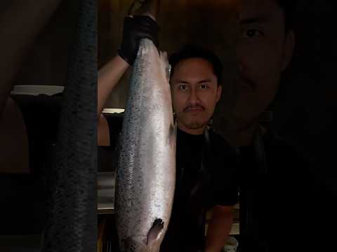 BONGKAR SATU EKOR SALMON!