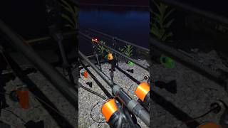 #carpfishing #carprun #fishing
