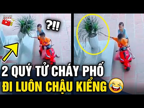 Tin 3 Phút Hài | Những tình huống 'HÀI HƯỚC' ngây thơ của con trẻ khiến người lớn 'BẬT NGỬA' P23