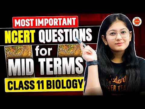 Top Class 11 Biology NCERT Questions for Midterms | CBSE Chapter-Wise Breakdown by Khushboo Ma'am