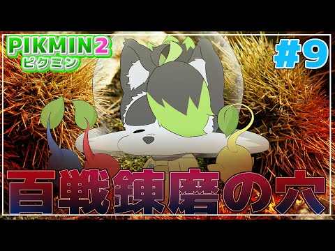 thumbnail_BY3YPSEN1Y8