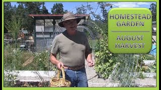 HOMESTEAD GARDEN - AUGUST HARVEST