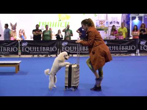 video of Dog Trainer Myrto Koutoulia 