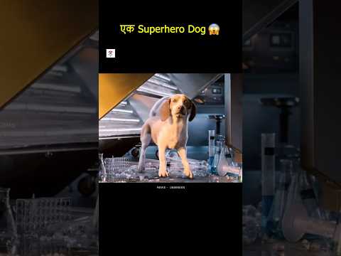 😱 एक Superhero Dog #shorts #facts  #dog