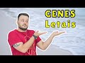 Lethal Alleles and Their Effects