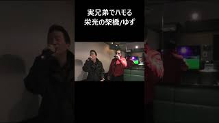 実兄弟でハモる「栄光の架橋/ゆず」 #shorts
