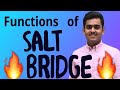 Functions of the Salt Bridge in Galvanic Cells