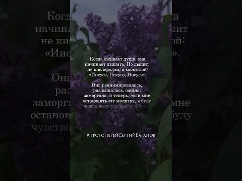 #протоиерейсергийбаранов