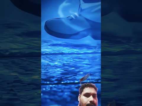 comedybihari#sucks #viral YouTube 🤔🤔 2025