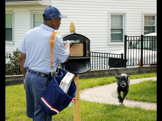 Damon Coquillette recently became Tacoma's new Postmaster. He joins Lora Proctor in the studio to discuss his new role and their dog bite awareness campaign.