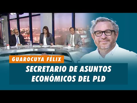 Guarocuya Felix, Secretario de asuntos económicos del PLD | Matinal