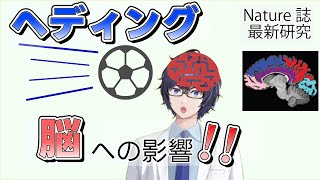 ヘディングの脳への影響？最新研究が紐解く気付かない予兆🧠 #たかとー研究室