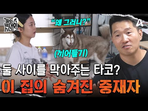 | <strong>개와</strong> 늑대의 시간2 37 회