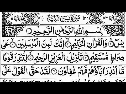 Surah Yaseen | Yasin | Episode 1301 | Daily Quran Tilawat Surah Yasin Surah Rahman Surah yaseen