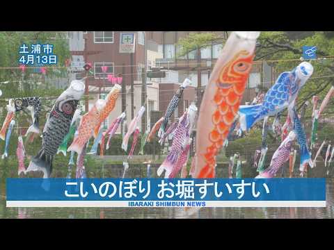 こいのぼり お堀すいすい  土浦・亀城公園